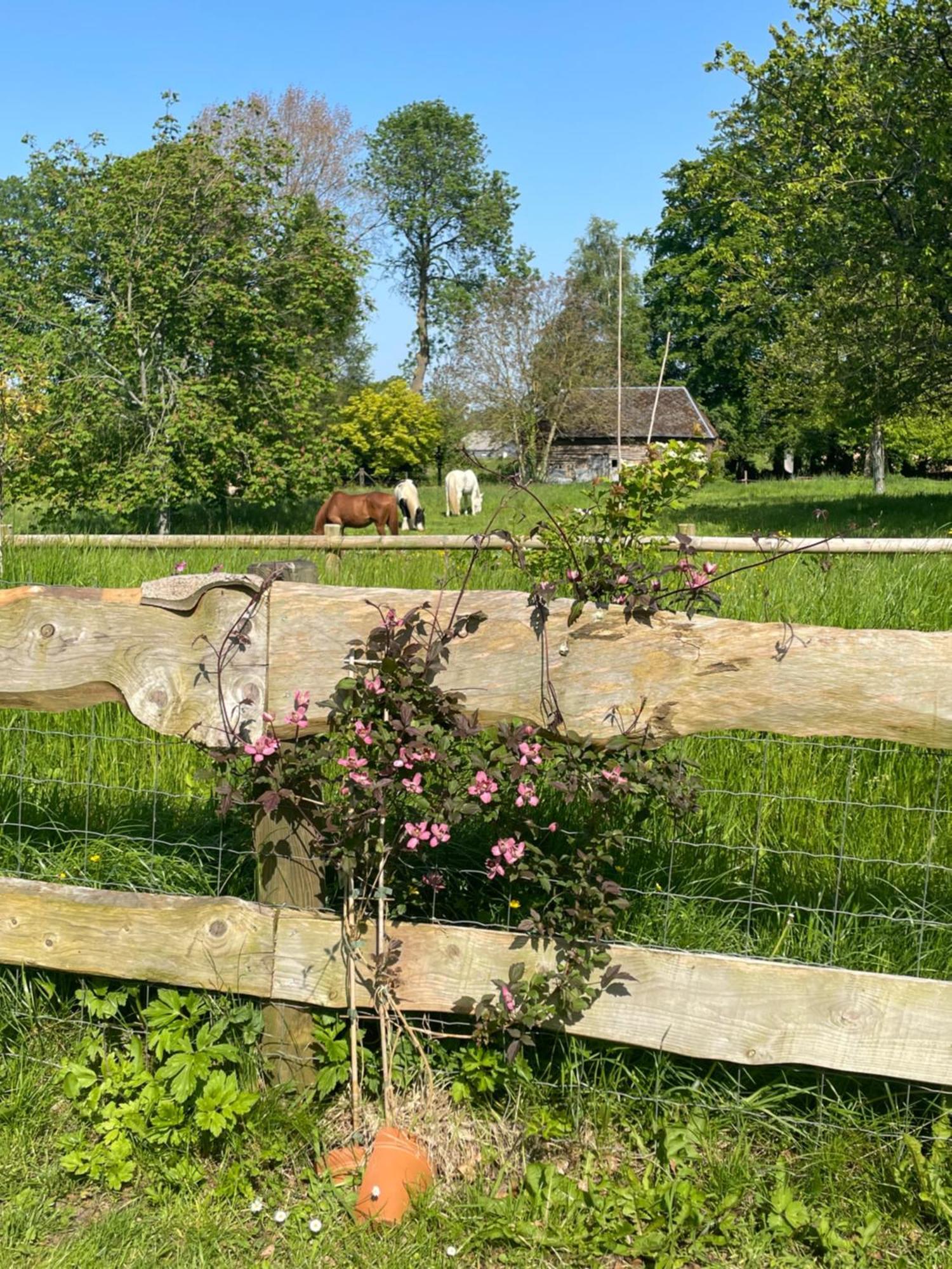 Le Clos Du Val A Loup Benarville Екстер'єр фото