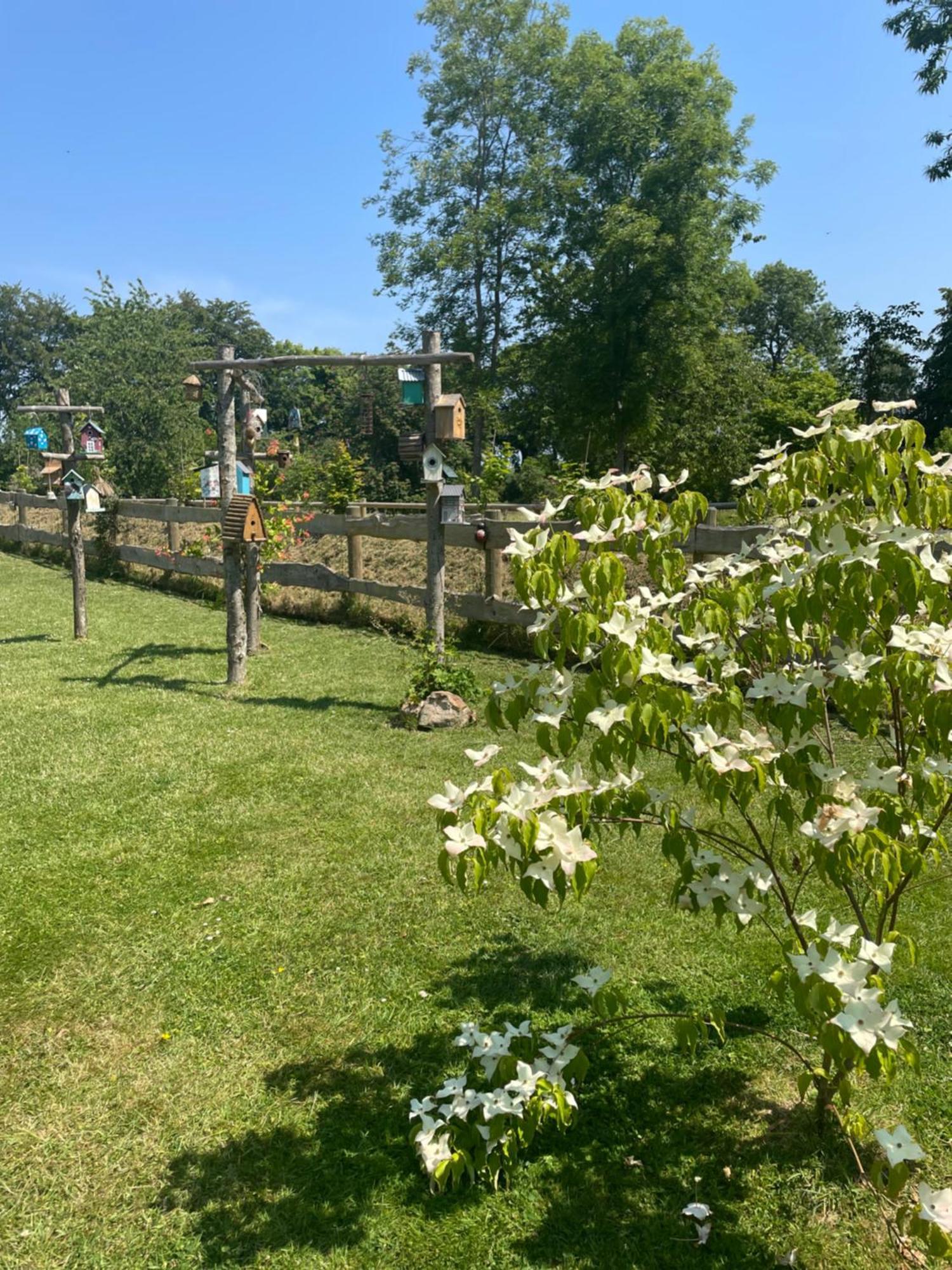 Le Clos Du Val A Loup Benarville Екстер'єр фото