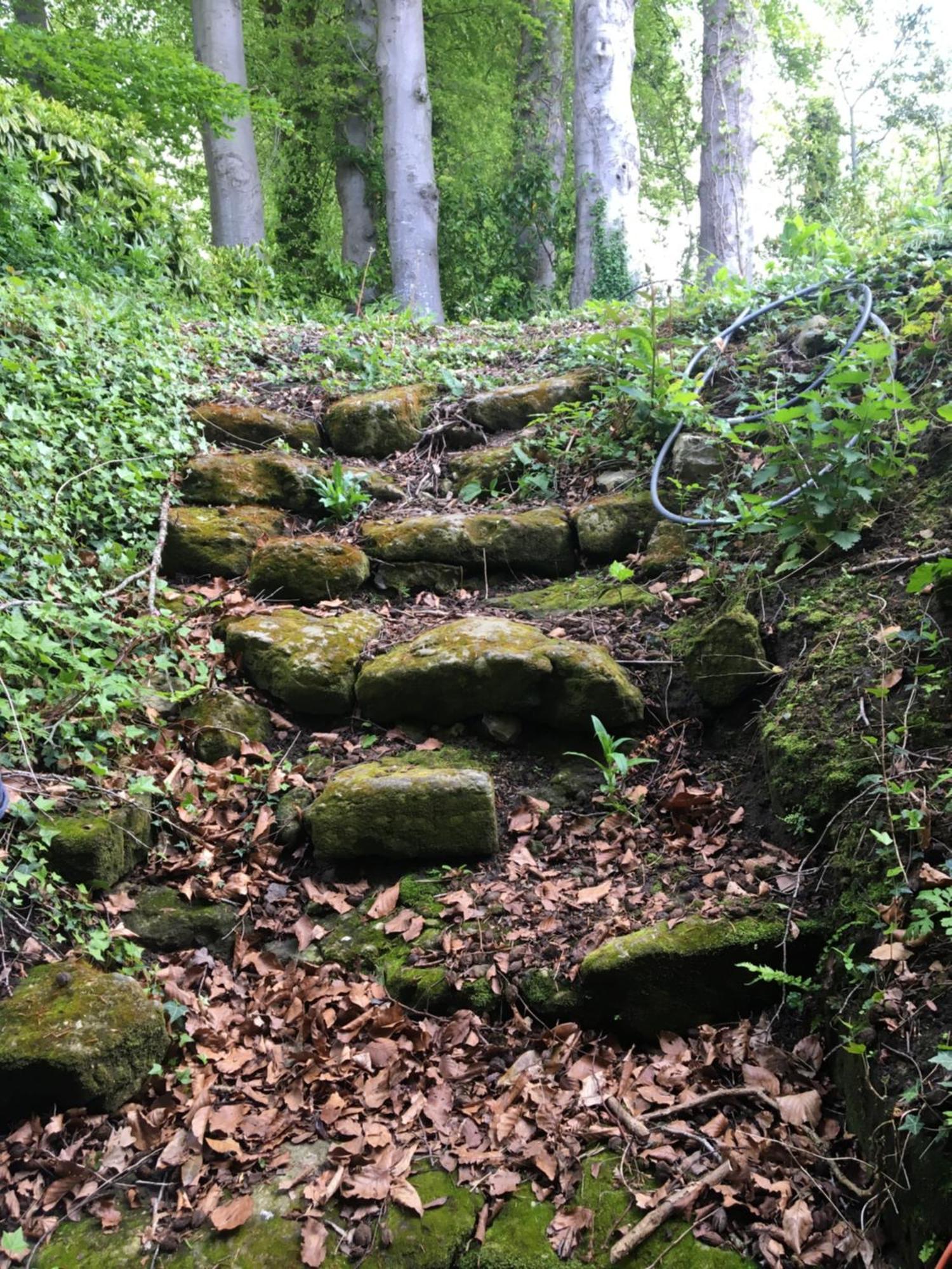 Le Clos Du Val A Loup Benarville Екстер'єр фото